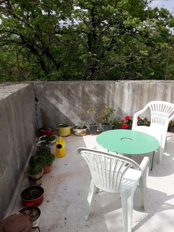 Apartman Milica Golubic  Ngoại thất bức ảnh