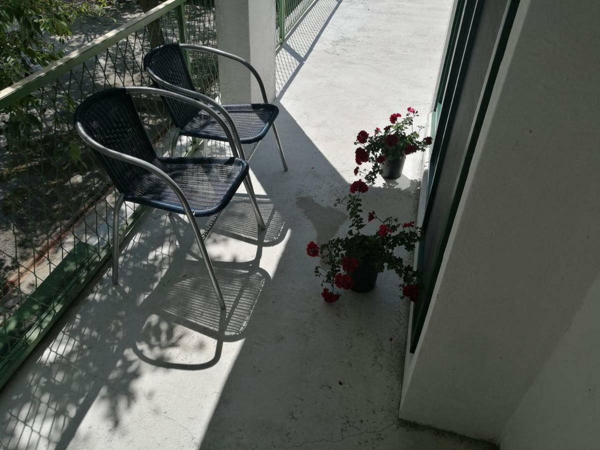 Apartman Milica Golubic  Ngoại thất bức ảnh